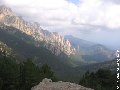 Au loin les aiguilles de Bavella