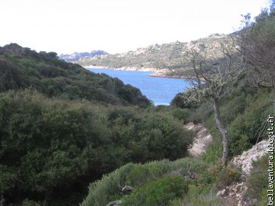 Les 4 éléments réunis Terre-Mer-Montagnes et le parfum du maquis