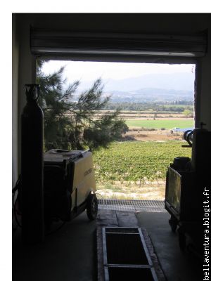 De la cave de fermentation, on voit ça en plongée