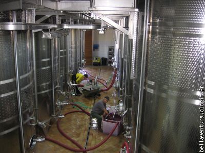 étape de fermentation - 30 jours