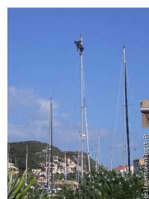 Y'a pas juste des randonneurs en Corse !